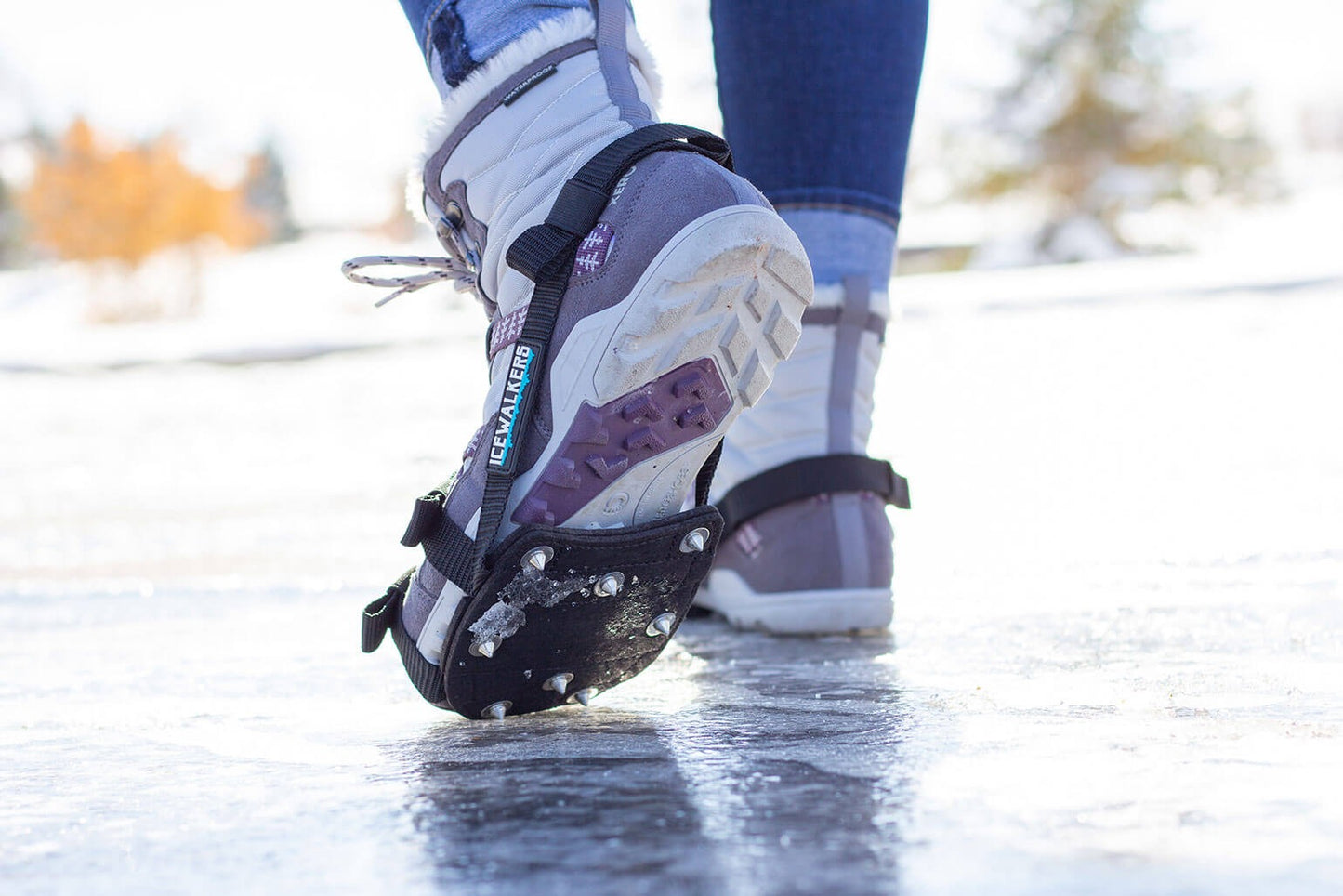 Icewalkers